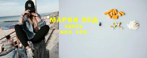 ECSTASY Алзамай