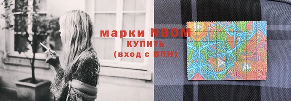 ECSTASY Алзамай