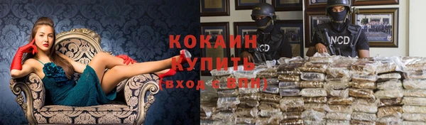 ECSTASY Алзамай