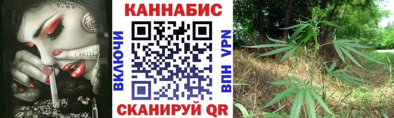 Шишки марихуана конопля  где найти   Осинники 